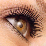 PHOTO - Eyelash