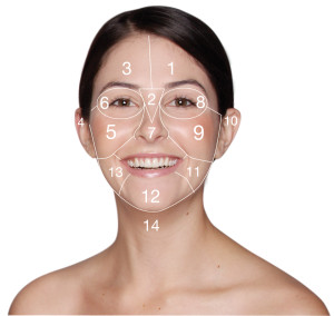 PHOTO - Dermalogica Face Mapping